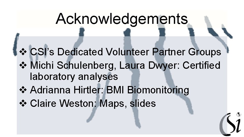 Acknowledgements v CSI’s Dedicated Volunteer Partner Groups v Michi Schulenberg, Laura Dwyer: Certified laboratory