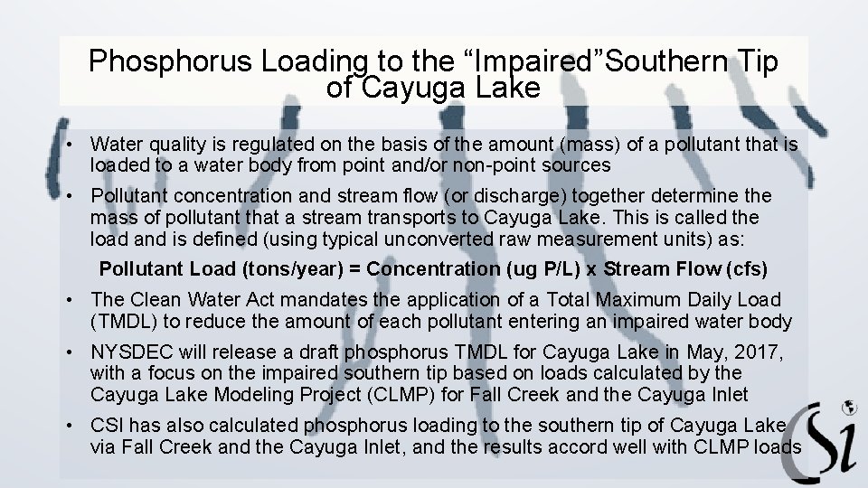 Phosphorus Loading to the “Impaired”Southern Tip of Cayuga Lake • Water quality is regulated