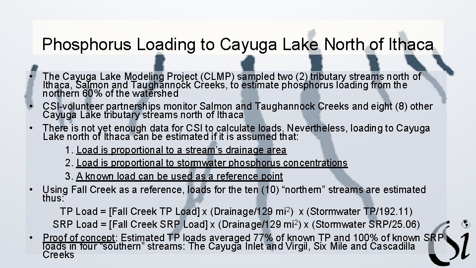 Phosphorus Loading to Cayuga Lake North of Ithaca • The Cayuga Lake Modeling Project