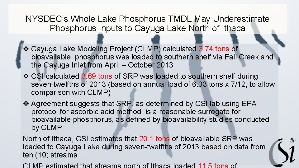 NYSDEC’s Whole Lake Phosphorus TMDL May Underestimate Phosphorus Inputs to Cayuga Lake North of