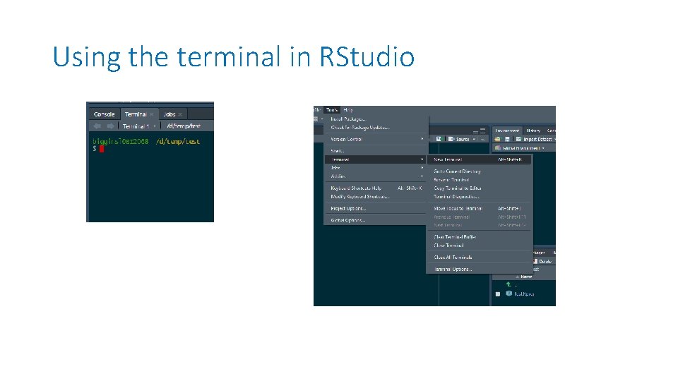Using the terminal in RStudio Using the terminal in RStudio