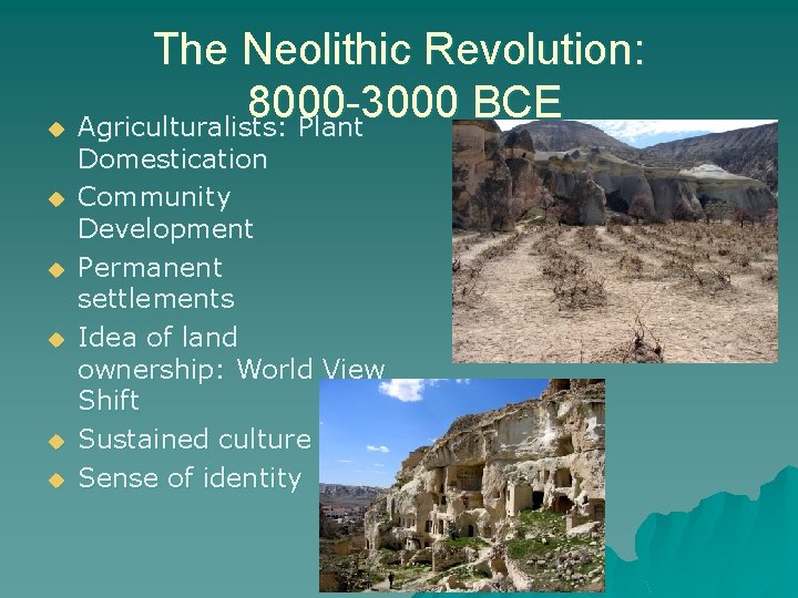 The Neolithic Revolution: 8000 -3000 BCE u Agriculturalists: Plant u u u Domestication Community