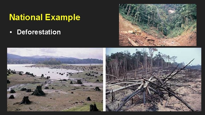 National Example • Deforestation 