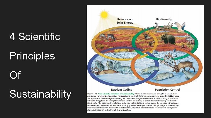 4 Scientific Principles Of Sustainability 