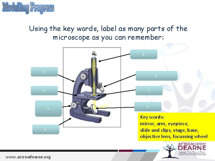 Using the key words, label as many parts of the microscope as you can