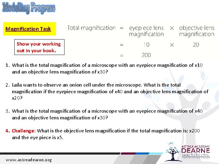 Magnification Task Show your working out in your book. 1. What is the total