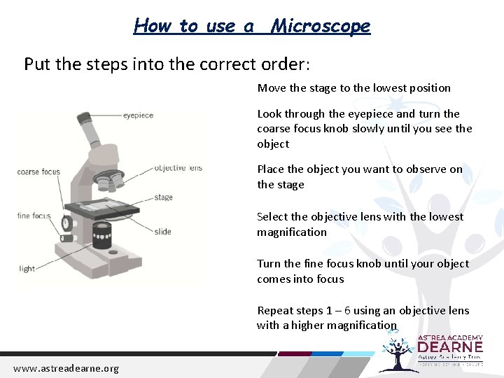 How to use a Microscope Put the steps into the correct order: Move the