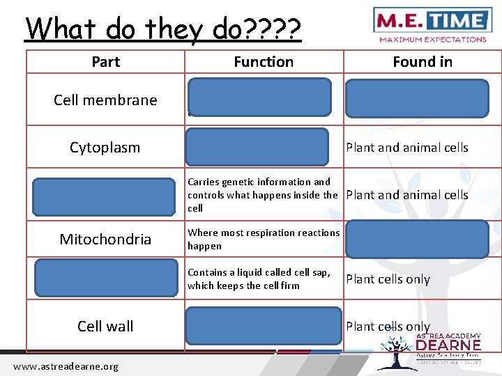 What do they do? ? Part Function Found in Controls the movement of substances