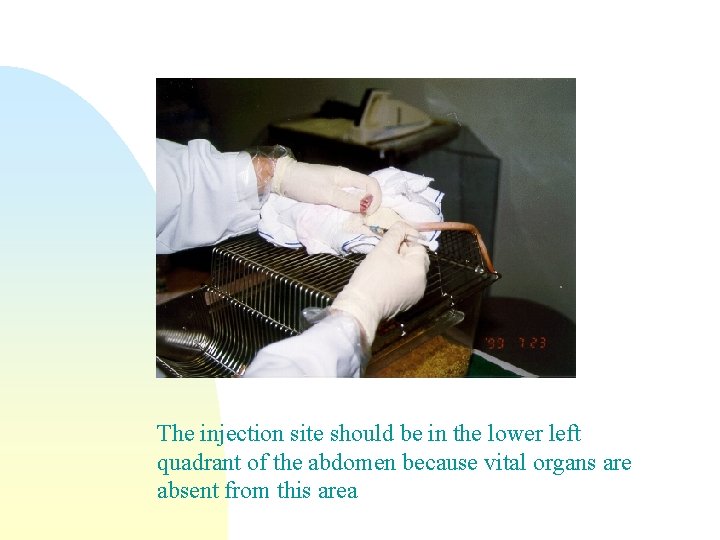 The injection site should be in the lower left quadrant of the abdomen because