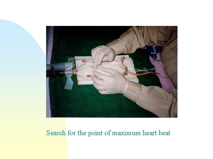 Search for the point of maximum heart beat 