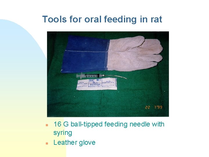 Tools for oral feeding in rat n n 16 G ball-tipped feeding needle with