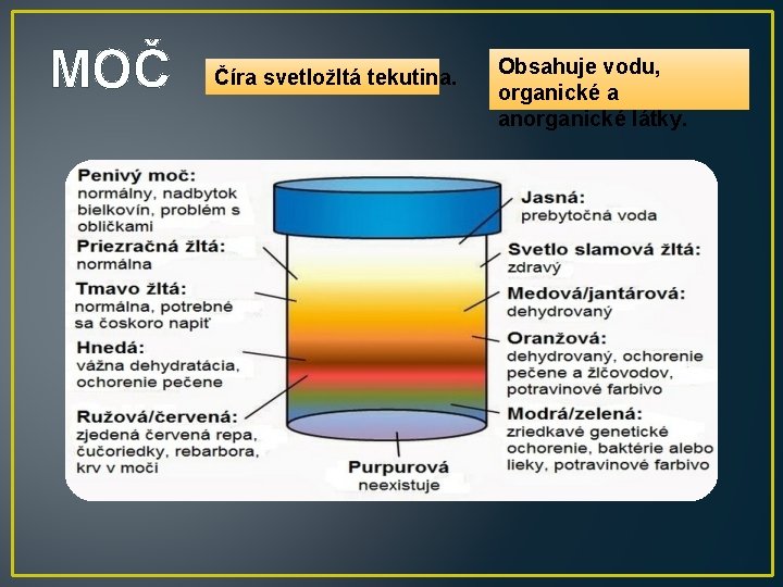 MOČ Číra svetložltá tekutina. Obsahuje vodu, organické a anorganické látky. 