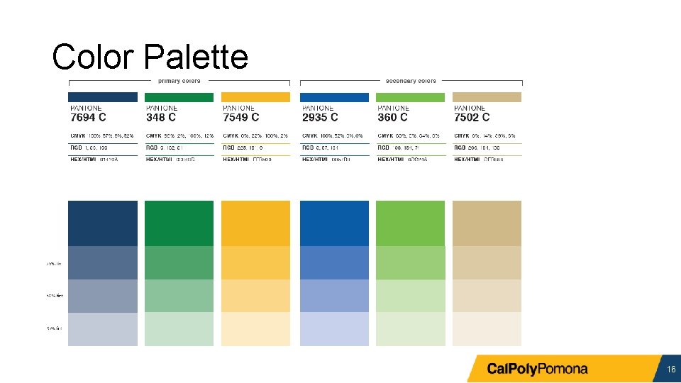 Color Palette 16 