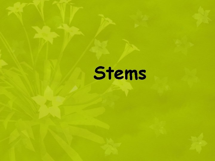 Stems 