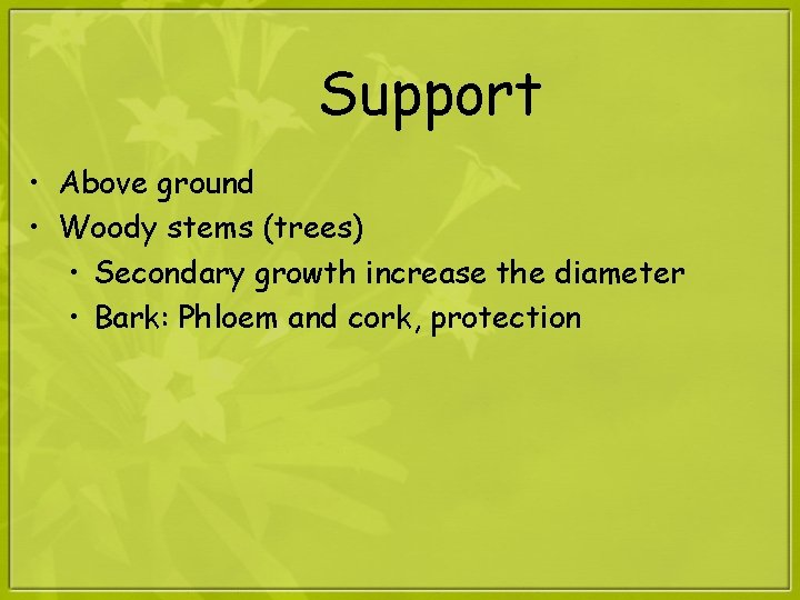 Support • Above ground • Woody stems (trees) • Secondary growth increase the diameter