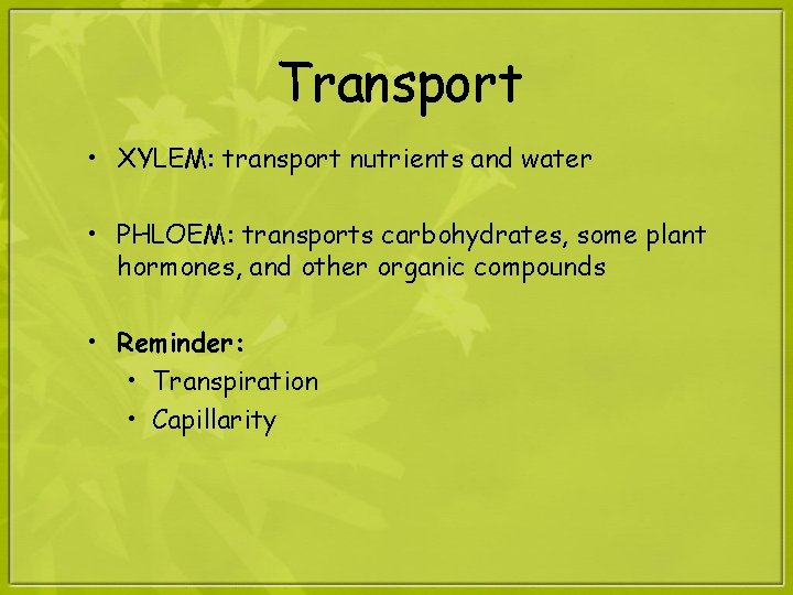 Transport • XYLEM: transport nutrients and water • PHLOEM: transports carbohydrates, some plant hormones,