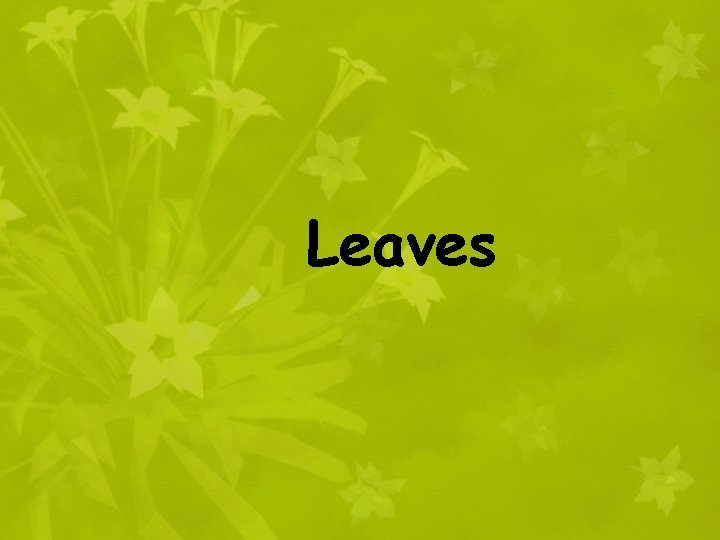 Leaves 