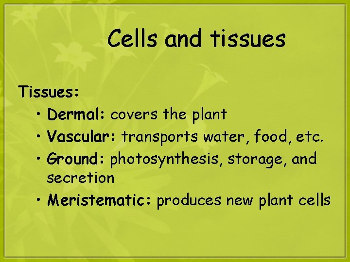 Cells and tissues Tissues: • Dermal: covers the plant • Vascular: transports water, food,