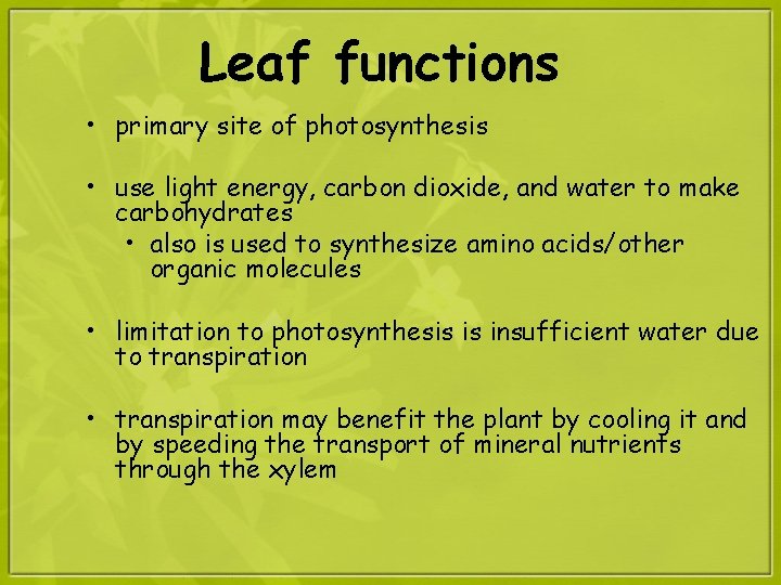 Leaf functions • primary site of photosynthesis • use light energy, carbon dioxide, and