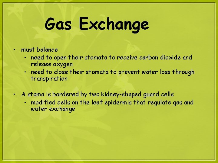Gas Exchange • must balance • need to open their stomata to receive carbon