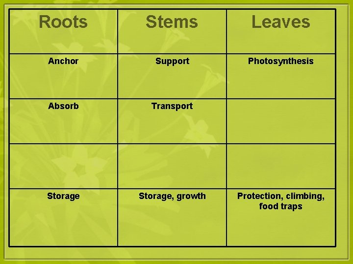 Roots Stems Leaves Anchor Support Photosynthesis Absorb Transport Storage, growth Protection, climbing, food traps