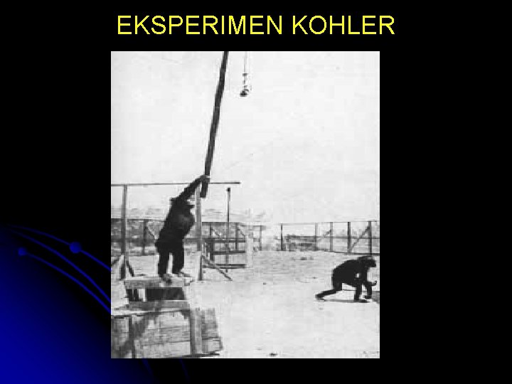 EKSPERIMEN KOHLER 