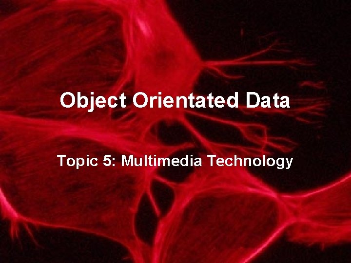 Object Orientated Data Topic 5: Multimedia Technology 