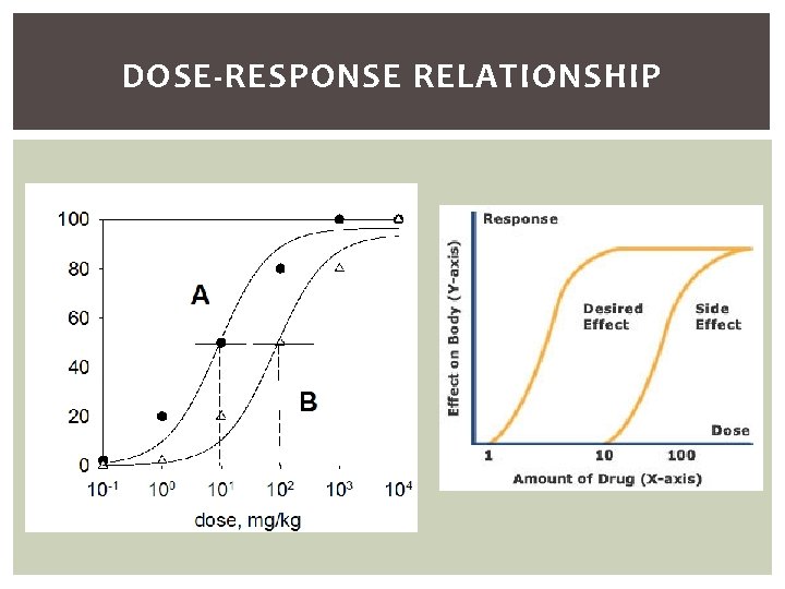 DOSE-RESPONSE RELATIONSHIP 