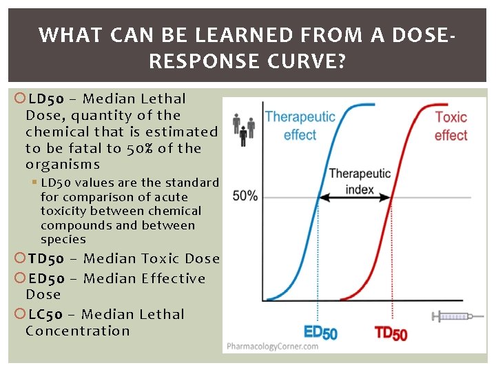 WHAT CAN BE LEARNED FROM A DOSERESPONSE CURVE? LD 50 – Median Lethal Dose,