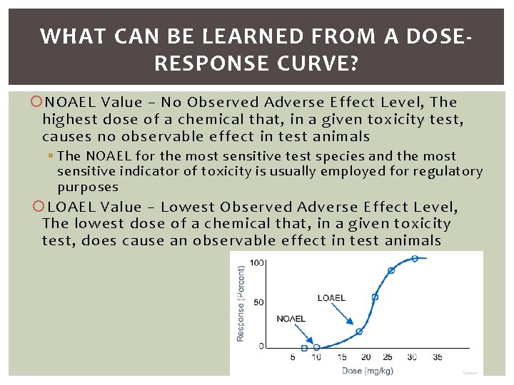 WHAT CAN BE LEARNED FROM A DOSERESPONSE CURVE? NOAEL Value – No Observed Adverse