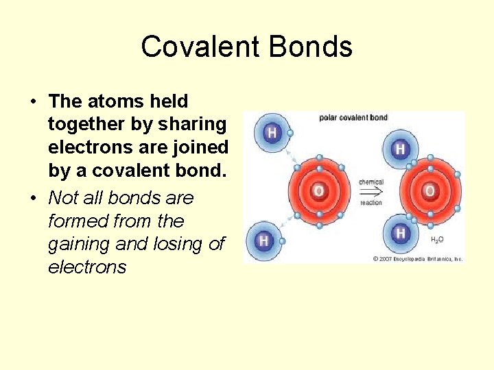 Covalent Bonds • The atoms held together by sharing electrons are joined by a