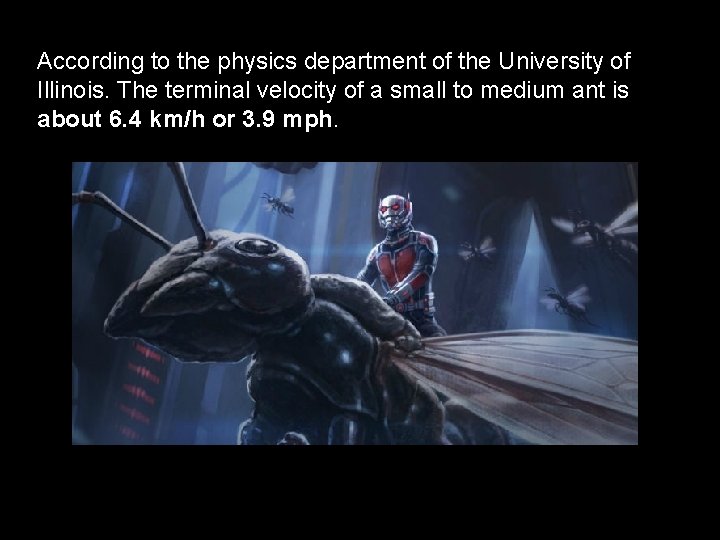According to the physics department of the University of Illinois. The terminal velocity of