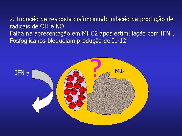 2. Indução de resposta disfuncional: inibição da produção de radicais de OH e NO