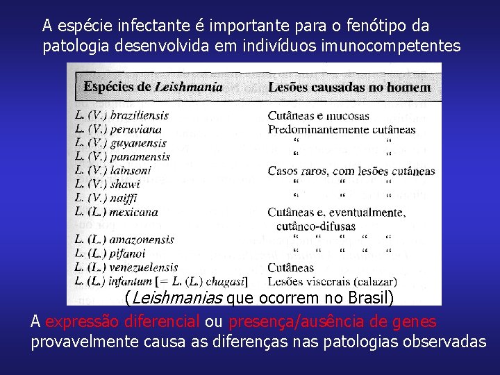 A espécie infectante é importante para o fenótipo da patologia desenvolvida em indivíduos imunocompetentes