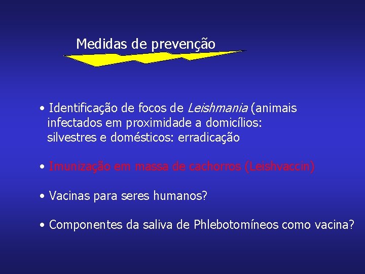 Medidas de prevenção • Identificação de focos de Leishmania (animais infectados em proximidade a
