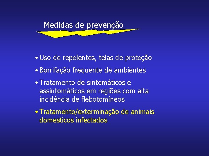 Medidas de prevenção • Uso de repelentes, telas de proteção • Borrifação frequente de