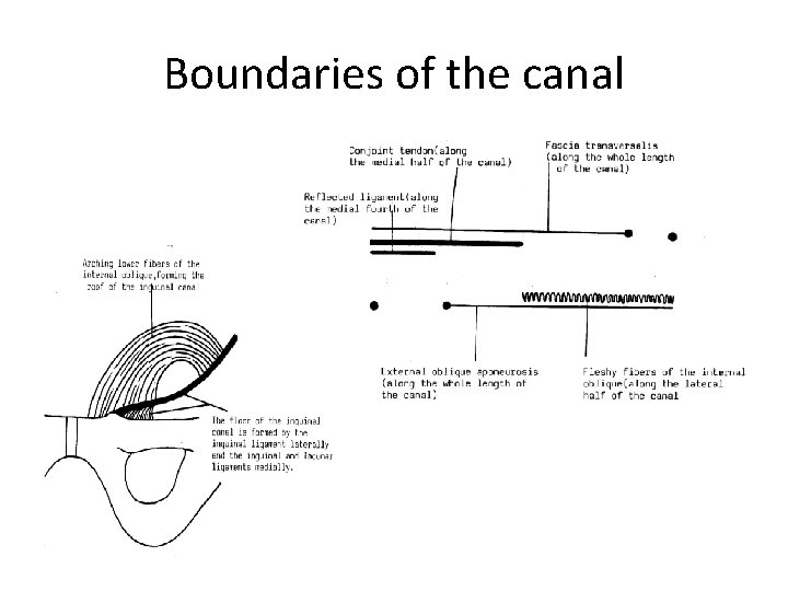 Boundaries of the canal 