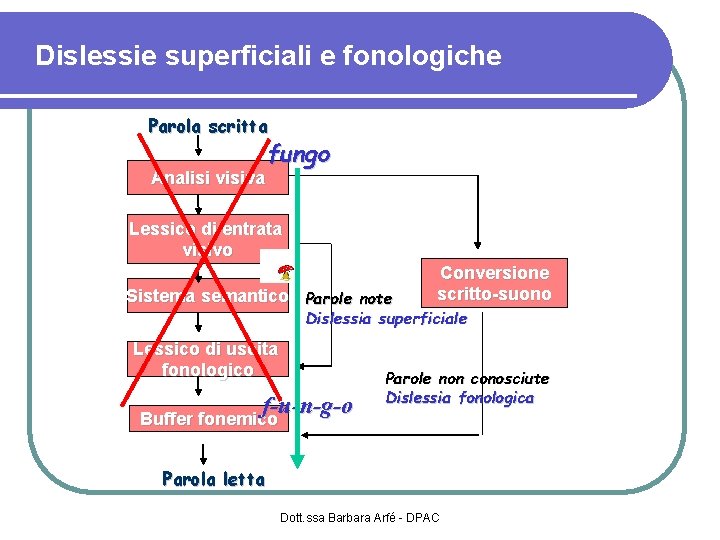 Dislessie superficiali e fonologiche Parola scritta Analisi visiva fungo Lessico di entrata visivo Sistema