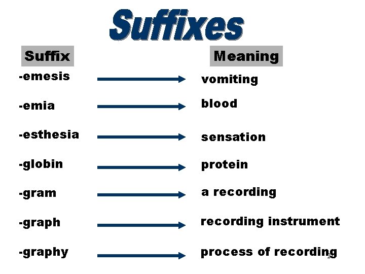 Suffixes (emesis–graphy) Meaning -emesis vomiting -emia blood -esthesia sensation -globin protein -gram a recording