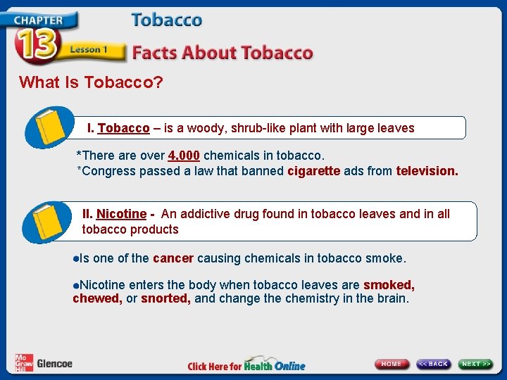What Is Tobacco? I. Tobacco – is a woody, shrub-like plant with large leaves