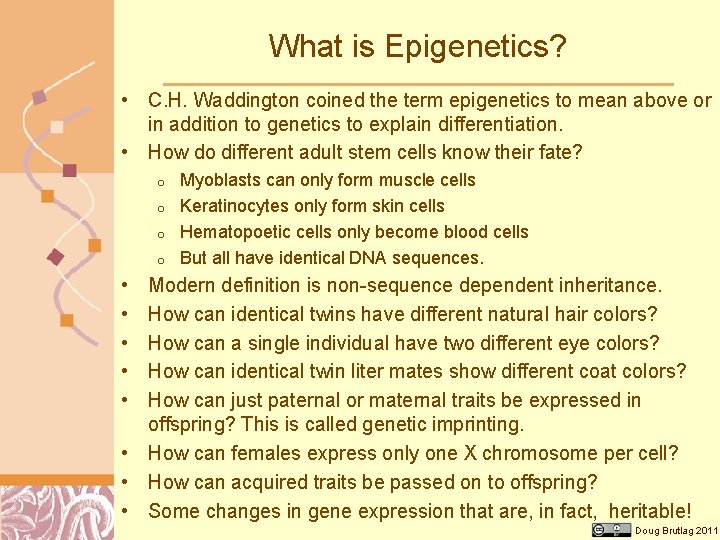 What is Epigenetics? • C. H. Waddington coined the term epigenetics to mean above