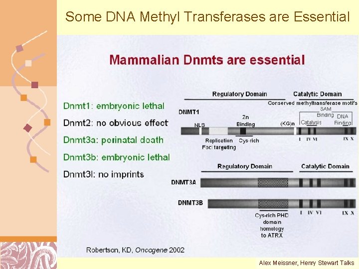 Some DNA Methyl Transferases are Essential Alex Meissner, Henry Doug Stewart Talks Brutlag 2011