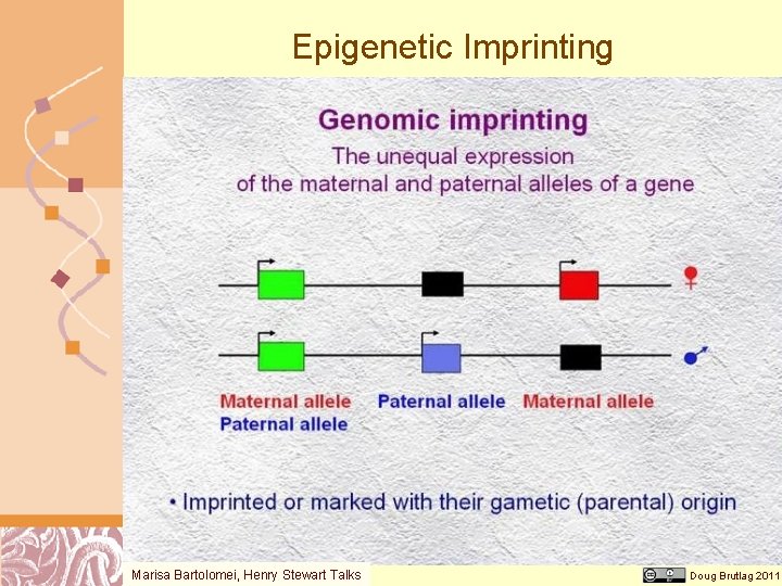 Epigenetic Imprinting Marisa Bartolomei, Henry Stewart Talks Doug Brutlag 2011 