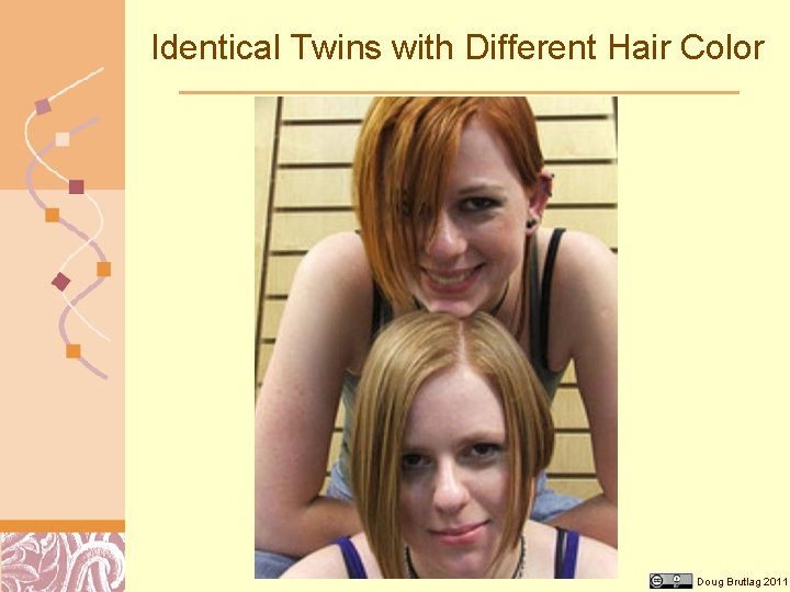 Identical Twins with Different Hair Color Doug Brutlag 2011 