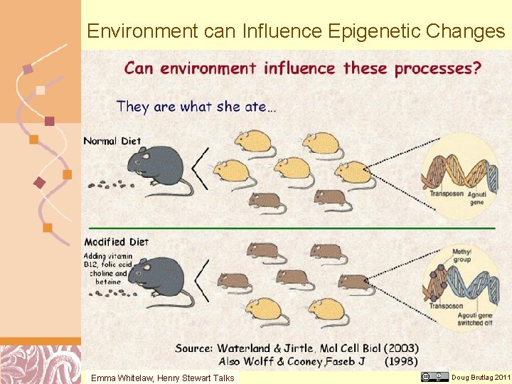 Environment can Influence Epigenetic Changes Emma Whitelaw, Henry Stewart Talks Doug Brutlag 2011 