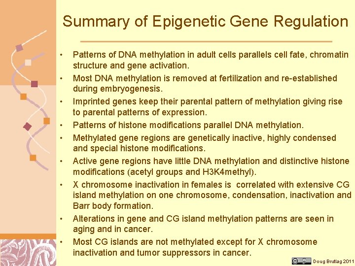 Summary of Epigenetic Gene Regulation • • • Patterns of DNA methylation in adult