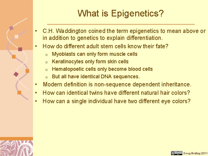 What is Epigenetics? • C. H. Waddington coined the term epigenetics to mean above