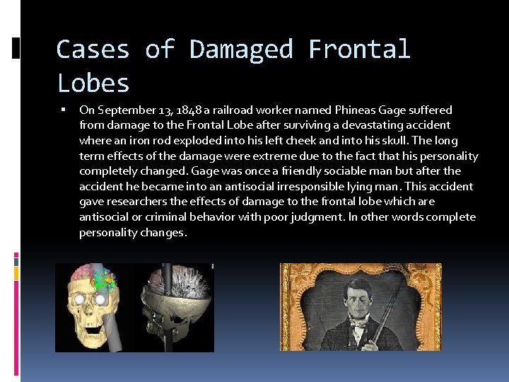 Cases of Damaged Frontal Lobes On September 13, 1848 a railroad worker named Phineas Cases of Damaged Frontal Lobes On September 13, 1848 a railroad worker named Phineas