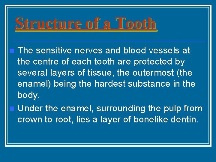 Structure of a Tooth The sensitive nerves and blood vessels at the centre of