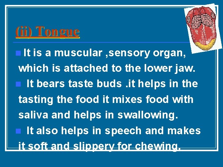 (ii) Tongue n It is a muscular , sensory organ, which is attached to